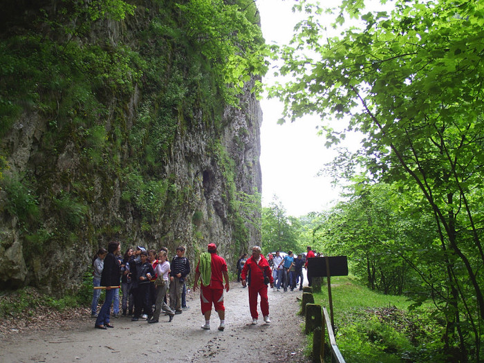 pestera - Dulce  Romanie