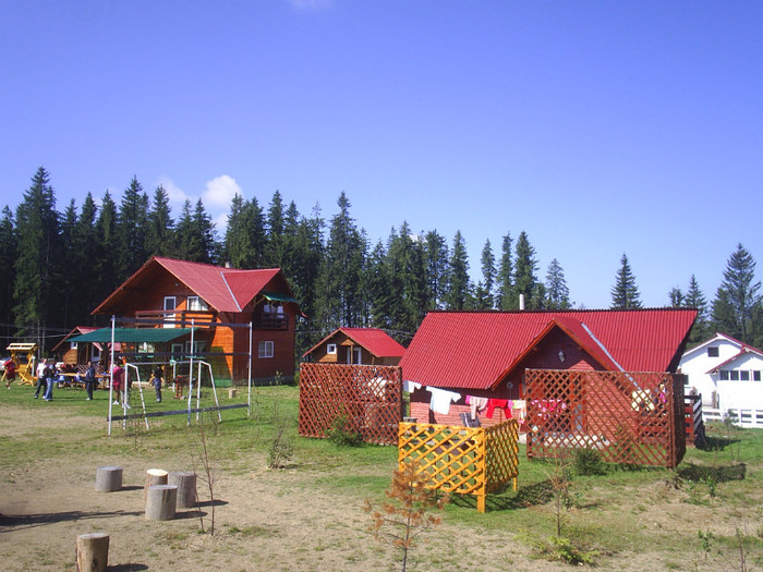 V.DORNEI - Dulce  Romanie