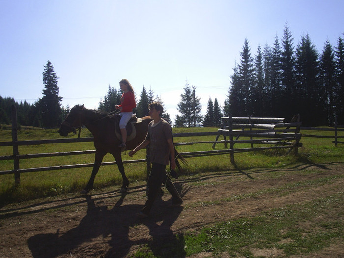 V.DORNEI - Dulce  Romanie