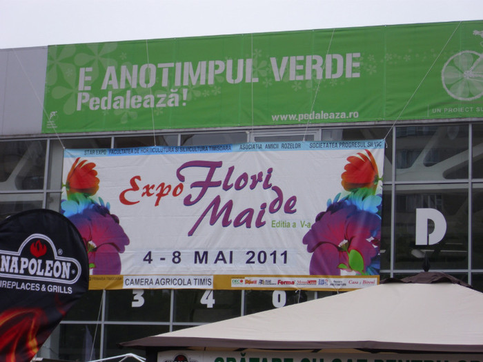 AFIS EXPOXITIE - Expozitie Flori de Mai 2011 Timisoara