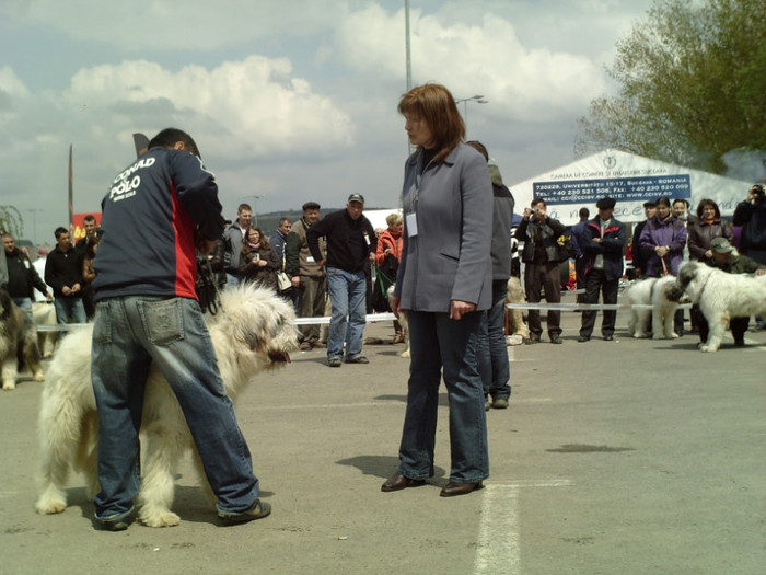 SUNP1376 - lady si lord cac cupa bucovina 2011