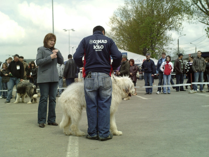 SUNP1379 - lady si lord cac cupa bucovina 2011