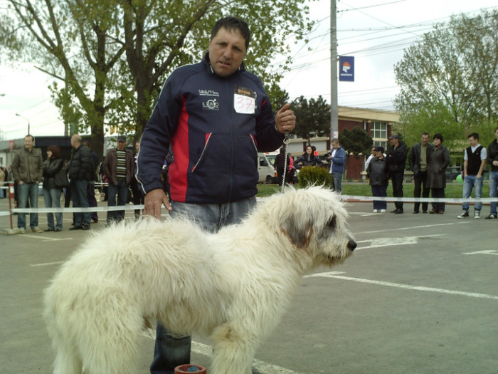 SUNP1391 - lady si lord cac cupa bucovina 2011