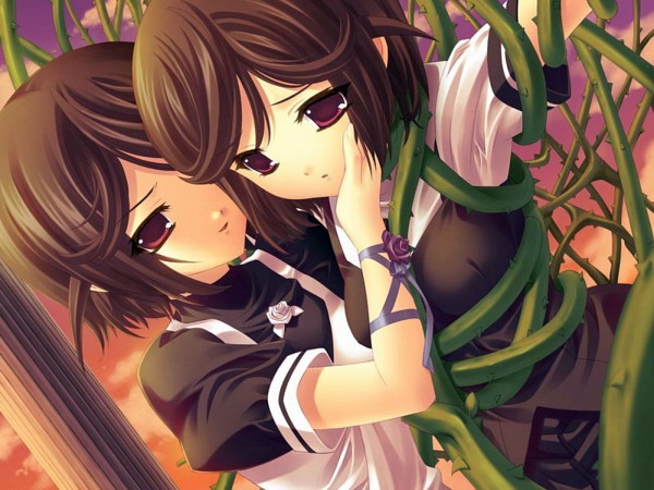 258153 - Anime twins