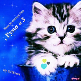  - Album pentru prietena mea Sabina