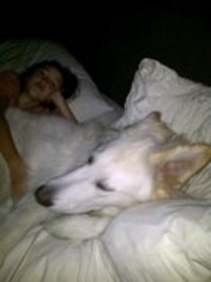  - Album pentru prietena mea Sabina