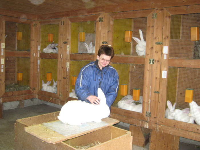 maria mahringer cu uriasul alb - vizita crescatoriilor de iepuri oi si gaini din zona -sucevei-vaslui