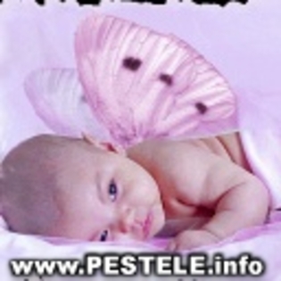 avatare poze bebelusi desarrollo del bebe sarcina videos para bebes poze