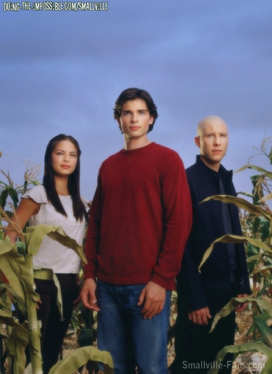 Smallville (6)