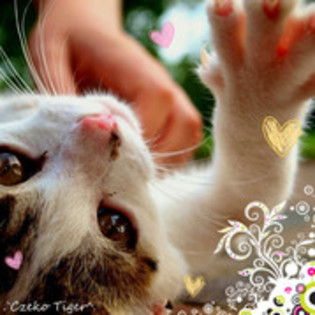  - for you