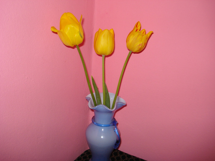 Picture 305 - flori taiate in vaza