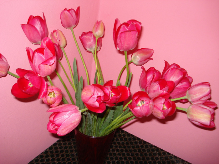 Picture 304 - flori taiate in vaza