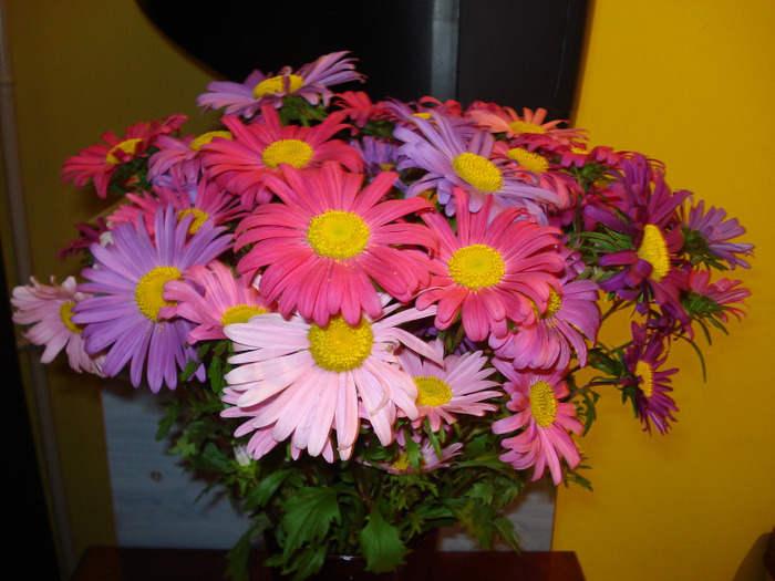 Picture 238 - flori taiate in vaza