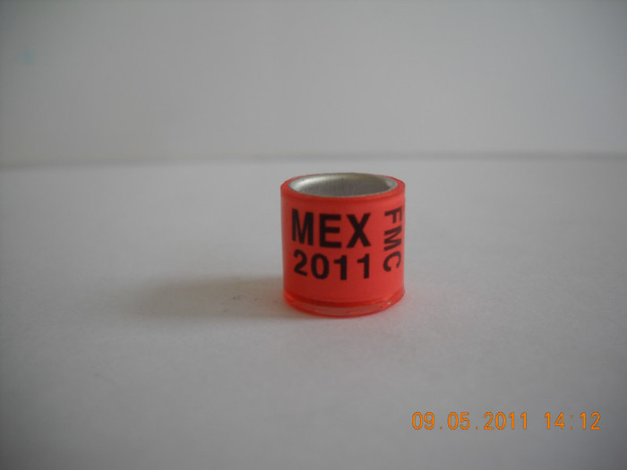 2011 - MEXIC