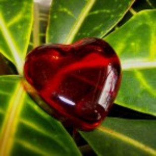 inima_poze_5 - inima