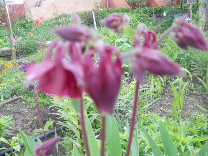 DSCN1140