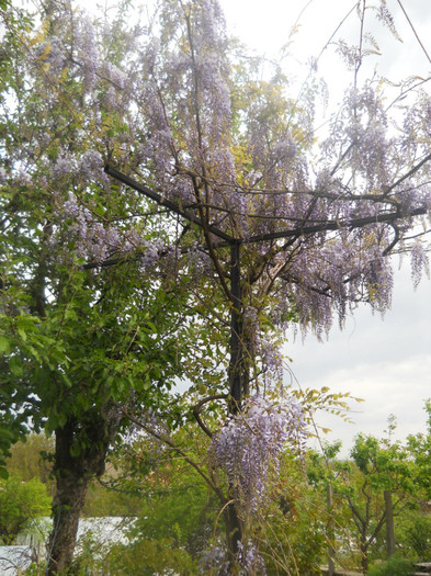 DSCN1125