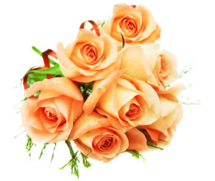 Trandafiri-7-trandafiri-portocalii-poza-t-P-n-7 trandafiri portocalii - trandafiri