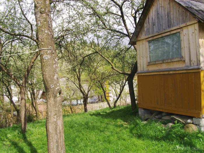 PICT0035 - in borsa in concediu