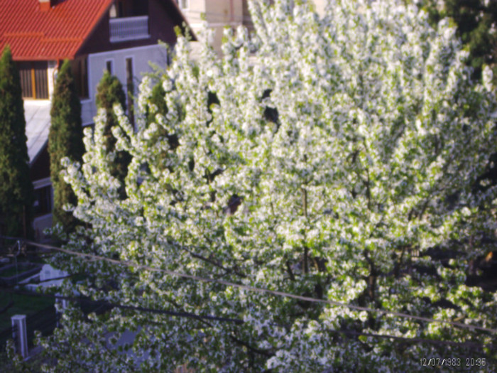 PICT0046 - in borsa in concediu