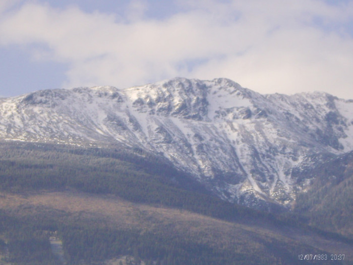 PICT0054 - in borsa in concediu