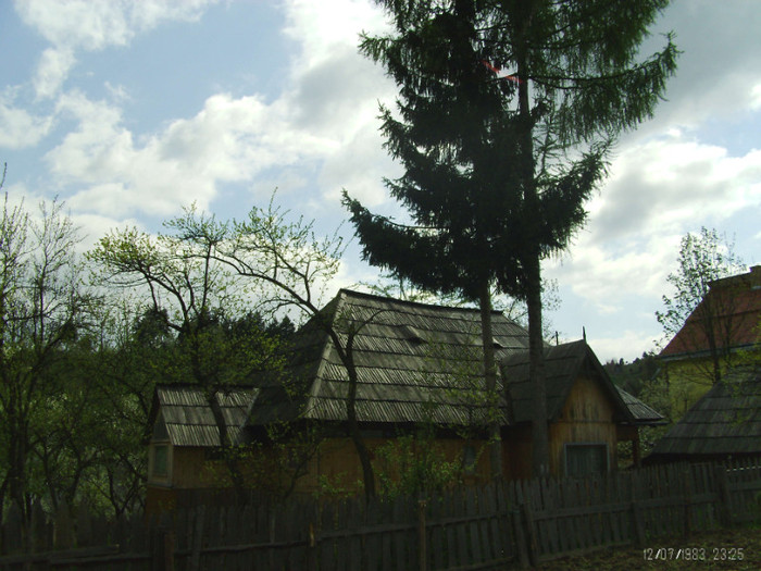 PICT0061 - in borsa in concediu