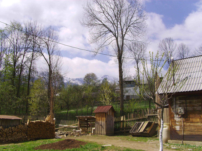 PICT0065 - in borsa in concediu