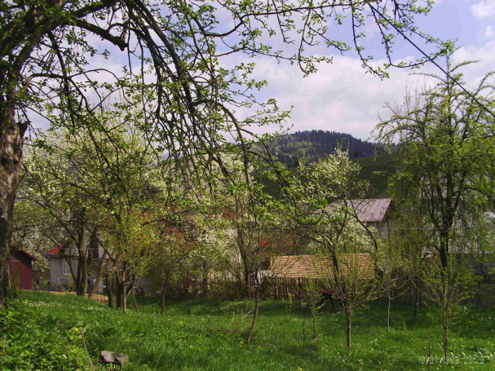 PICT0070 - in borsa in concediu