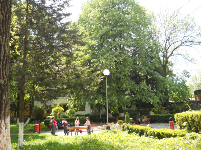  - Foto din oras