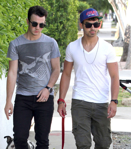 Joe+Jonas+Joe+Kevin+Jonas+Walking+Joe+Dog+_TLA9p2wmaAl - Joe And Kevin Jonas Walking Joe s Dog In Los Angeles
