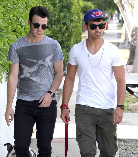 Joe+Jonas+Joe+Kevin+Jonas+Walking+Joe+Dog+_TLA9p2wmaAl