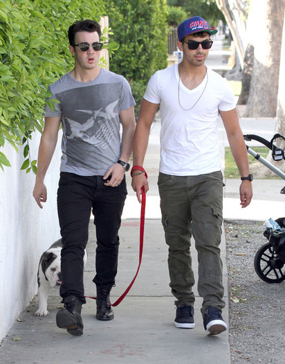 Joe+Jonas+Joe+Kevin+Jonas+Walking+Joe+Dog+GxB5w6z-RoWl - Joe And Kevin Jonas Walking Joe s Dog In Los Angeles