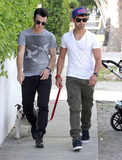 Joe+Jonas+Joe+Kevin+Jonas+Walking+Joe+Dog+nU4NTtOhHlkl