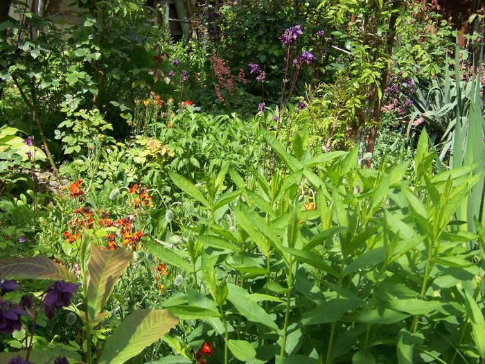 100_4169 - MAI 2011