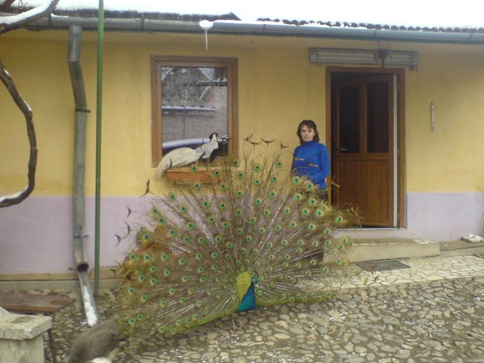 DSC02237