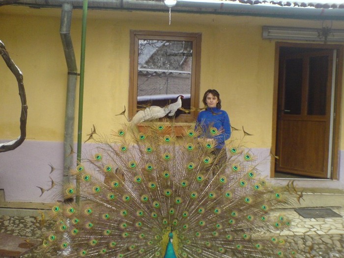 DSC02238