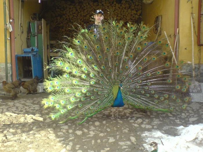 DSC02289