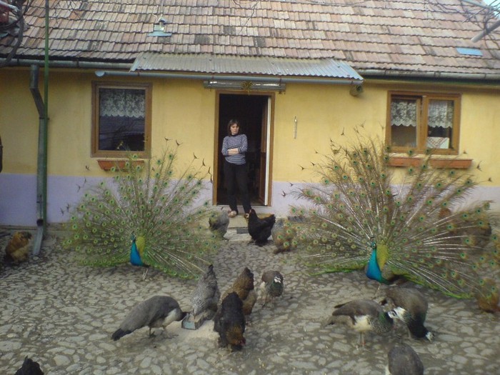 DSC02310