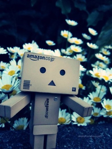 230312_219817348029432_100000035062916_951516_4200816_n_large