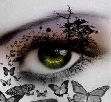 butterfly,eyes,green,black,makeup-f71f6d601a7cd4de4917f24d5a028e3a_h