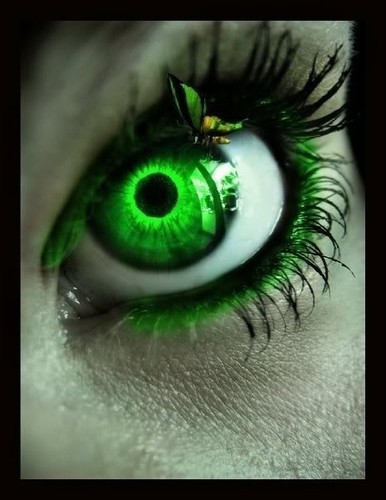 eye,what,a,look,-,,butterfly,eyes,green,makeup-41605c4da78d175c687140f188fdf78e_h