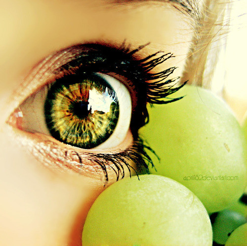eyelashes,eye,eyes,grapes,pretty,,,,-1af4b0068e1fa8b30184e197d667cc96_h