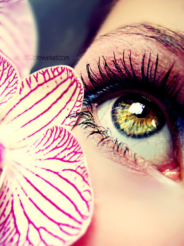 make,up,eye,flower,photography,pretty,beauty-4222b18f4ed96aba25127ab75329e6b5_h