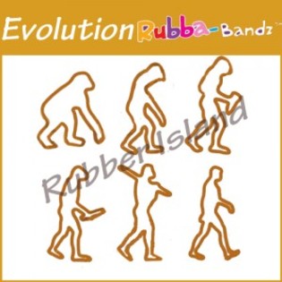 evolution-rubba-bandz - bandz