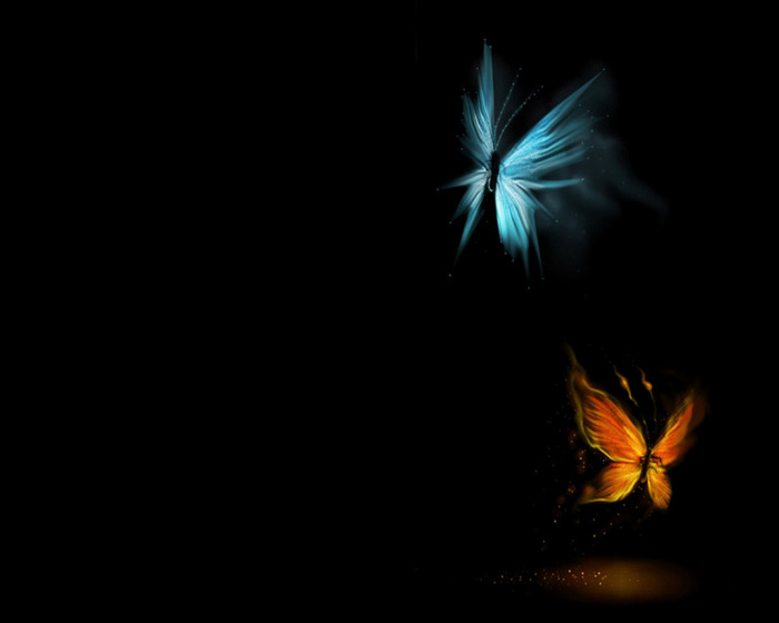 love-is-like-a-butterfly1