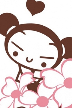 498 - pucca