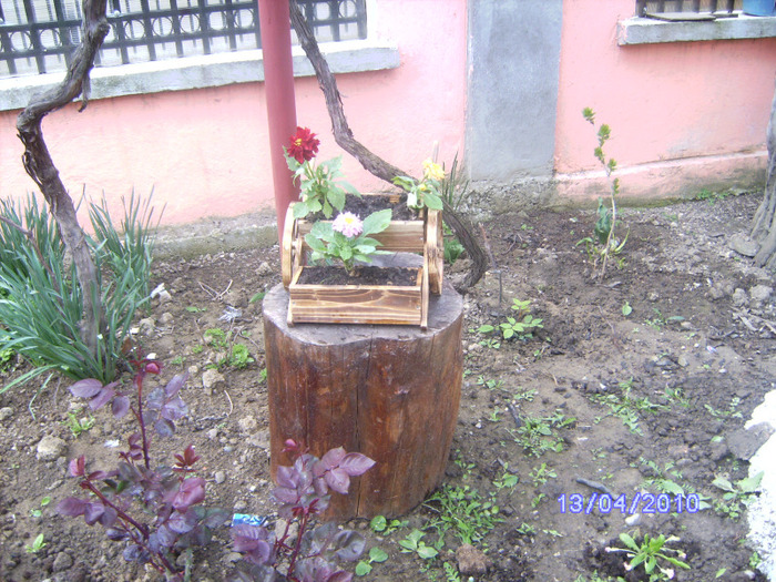 BILD4380