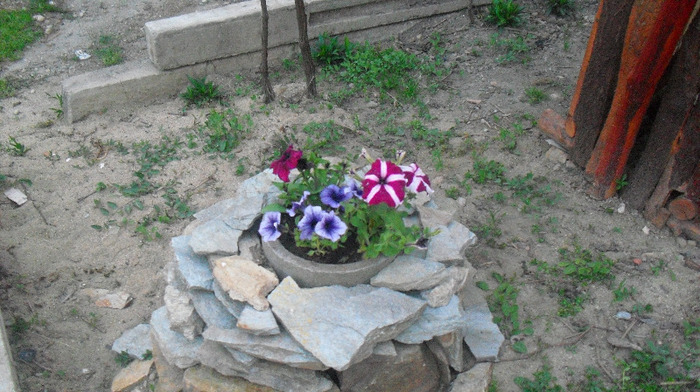 CIMG0817