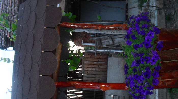 CIMG0818