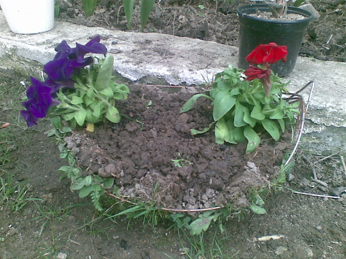 05042011(003)